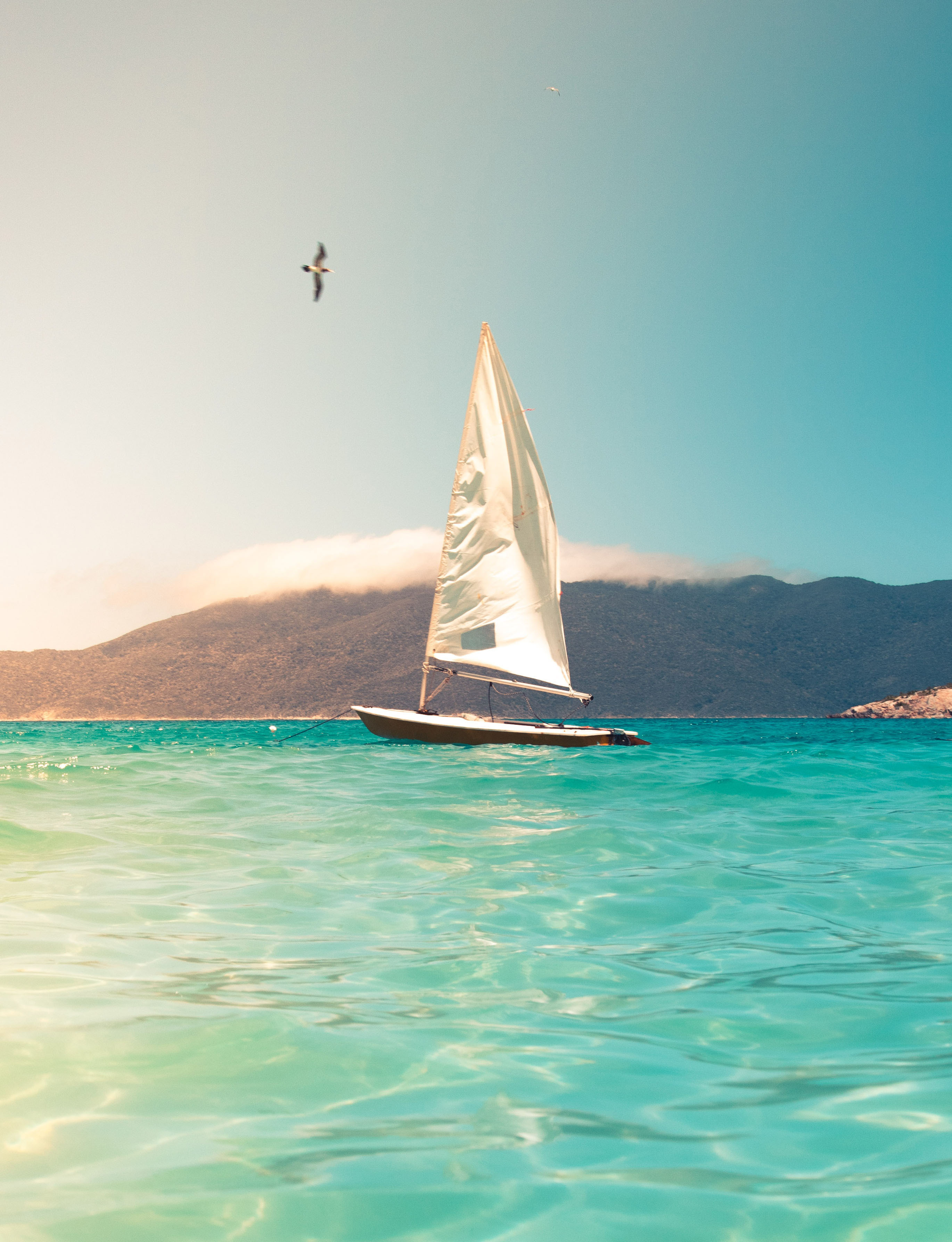 Boat Sailing in the Okanagan Lake